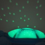 Twilight Turtle Love