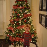 Christmas Tree 2012
